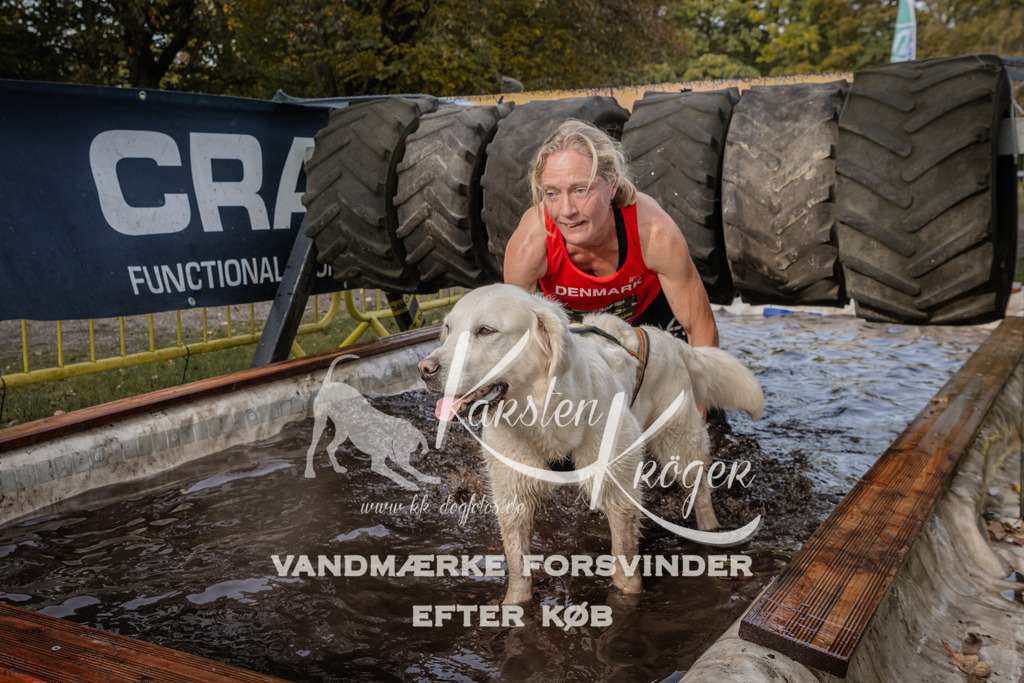 1439_ZZ94730 | kk-dogfotos