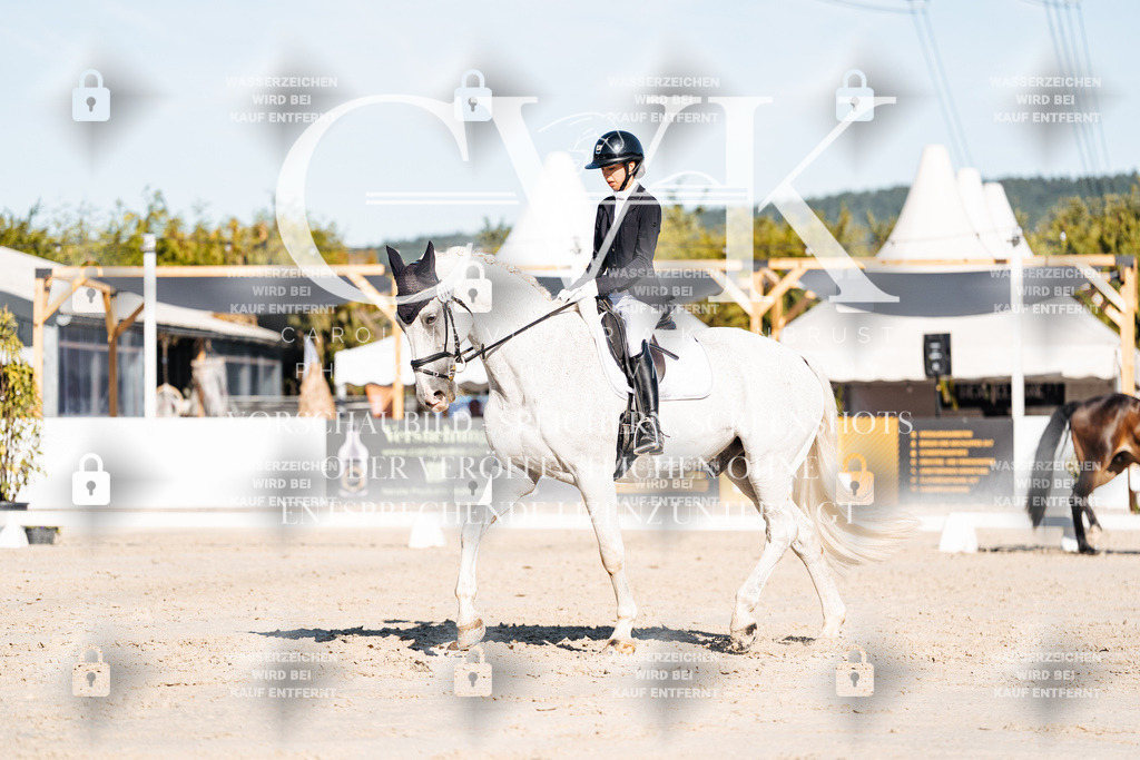 CK907522 | Turnierfotografie Pferdefotografie Trier Rheinland-Pfalz Pferdesport Reitsport Tierfotografie Sportfotografie Pferdevideo Pferdevideografie Equestrianvideography equestrianphotography  - Realisiert mit Pictrs.com