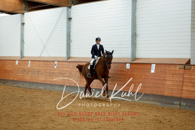 _62_5881 | Turniersportfotografie; Pferdefotografie; Dressurfotografie