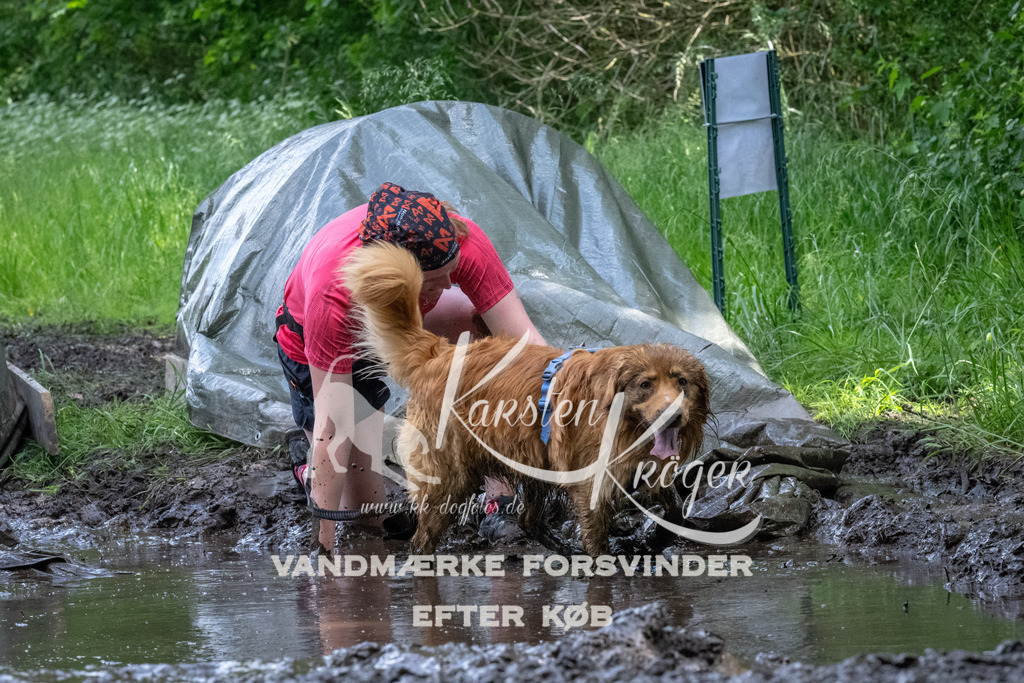 1349_ZZ92516 | kk-dogfotos