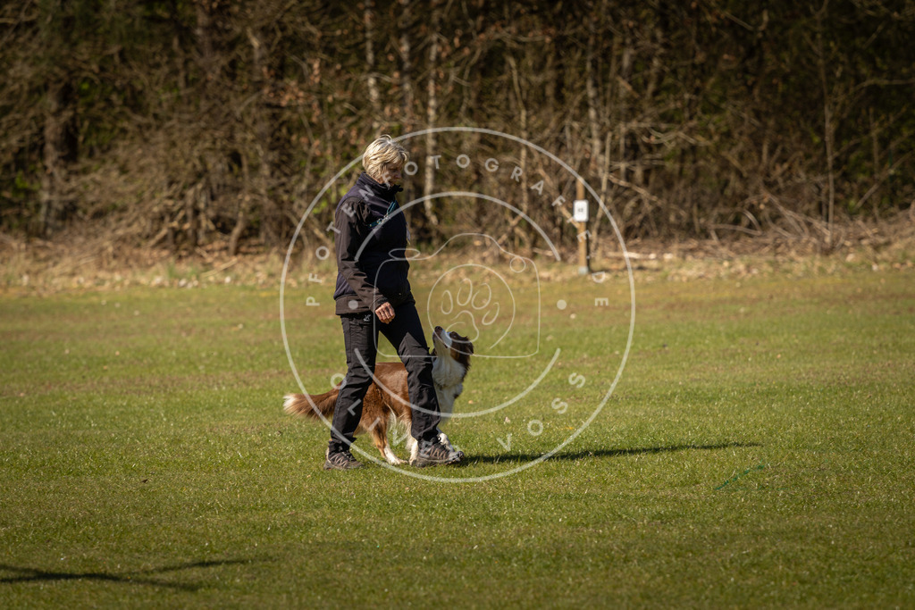 Pfotenfotografie_DV3A0423 | Hundefotografie, Tierfotograf, Pfotenfotografie, Fotoshooting Hund, Hunde Portrait, Hundesport, Hundeportraits, Heideshooting, Hunde, Sportfotograf, Hundefotograf, Turnierhundsport, THS,  - Realisiert mit Pictrs.com
