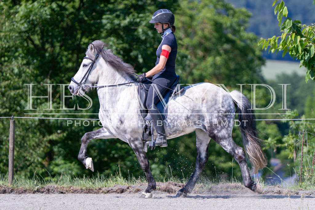 KAI06418 | Ihr sucht einen Fotografen für eure nächste OSI? Ich begleite auch euer Turnier für Islandpferde fotografisch.  - Realisiert mit Pictrs.com