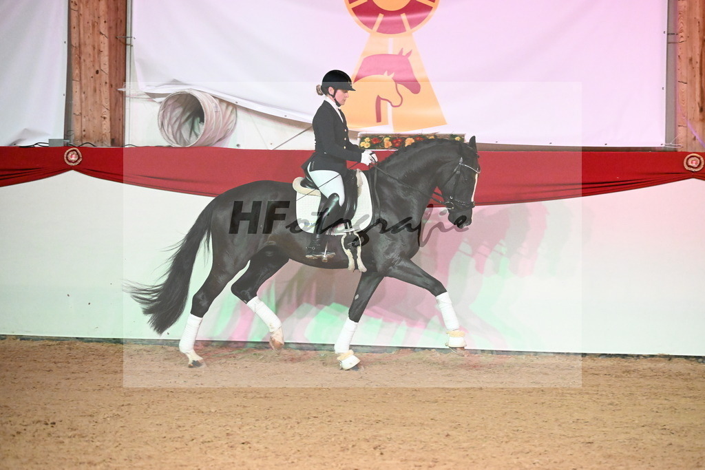 Jamie_Haug_2255157 | hf-fotografie - Realisiert mit Pictrs.com
