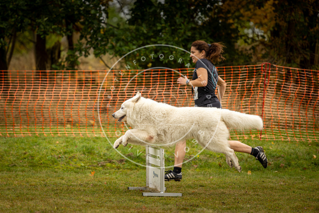 Pfotenfotografie_DV3A2474 | Hundefotografie, Tierfotograf, Pfotenfotografie, Fotoshooting Hund, Hunde Portrait, Hundesport, Hundeportraits, Heideshooting, Hunde, Sportfotograf, Hundefotograf, Turnierhundsport, THS,  - Realisiert mit Pictrs.com