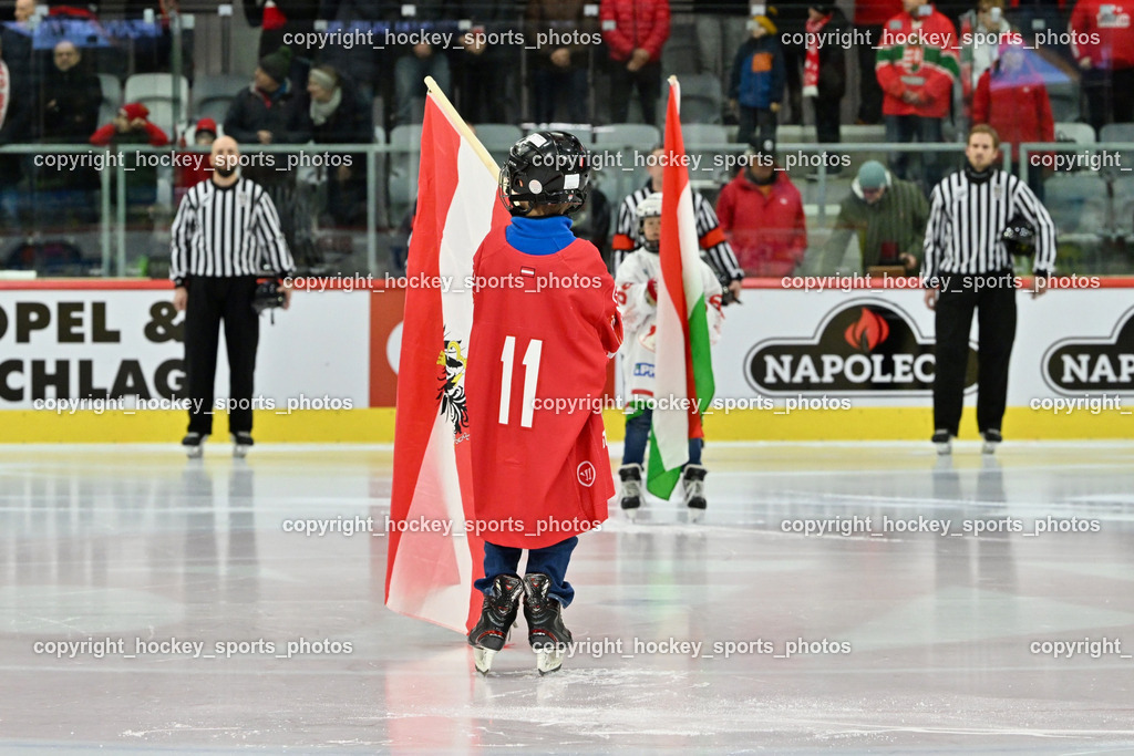 Österreich vs. Ungarn 14.12.2023 | Österreich vs. Ungarn 14.12.2023, Österreich vs. Ungarn  am 14.12.2023 in Klagenfurt (Heidi Horten Arena), Austria, (Photo by Bernd Stefan)