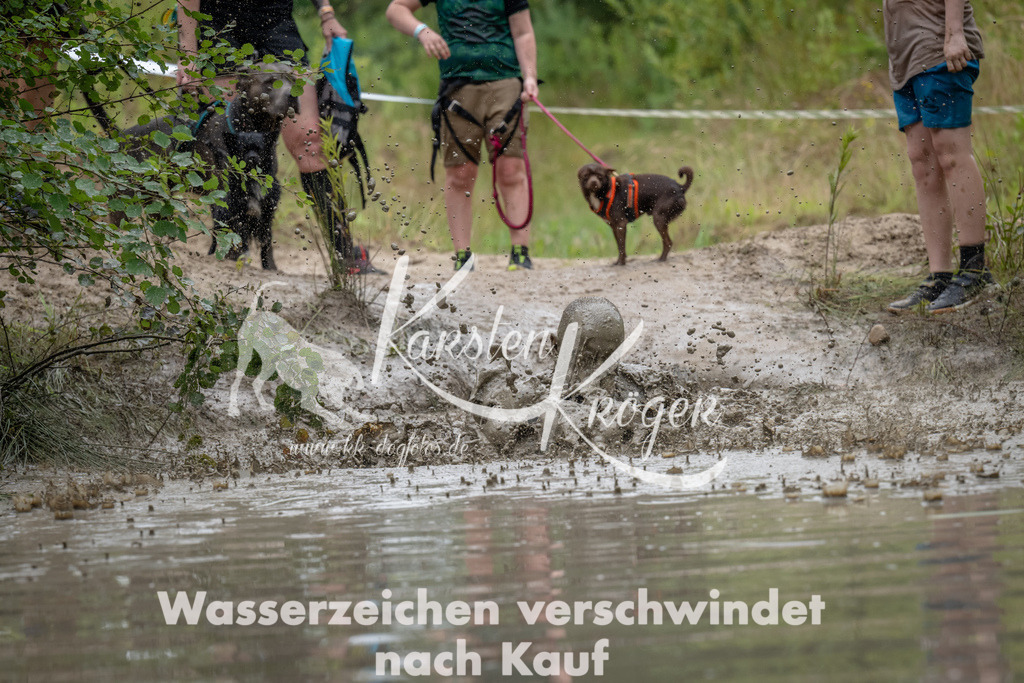 1335_ZZ90822 | kk-dogfotos