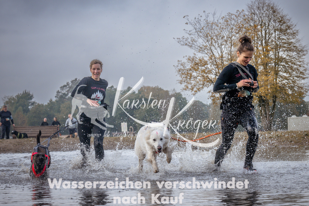 1138_ZZ95714 | kk-dogfotos