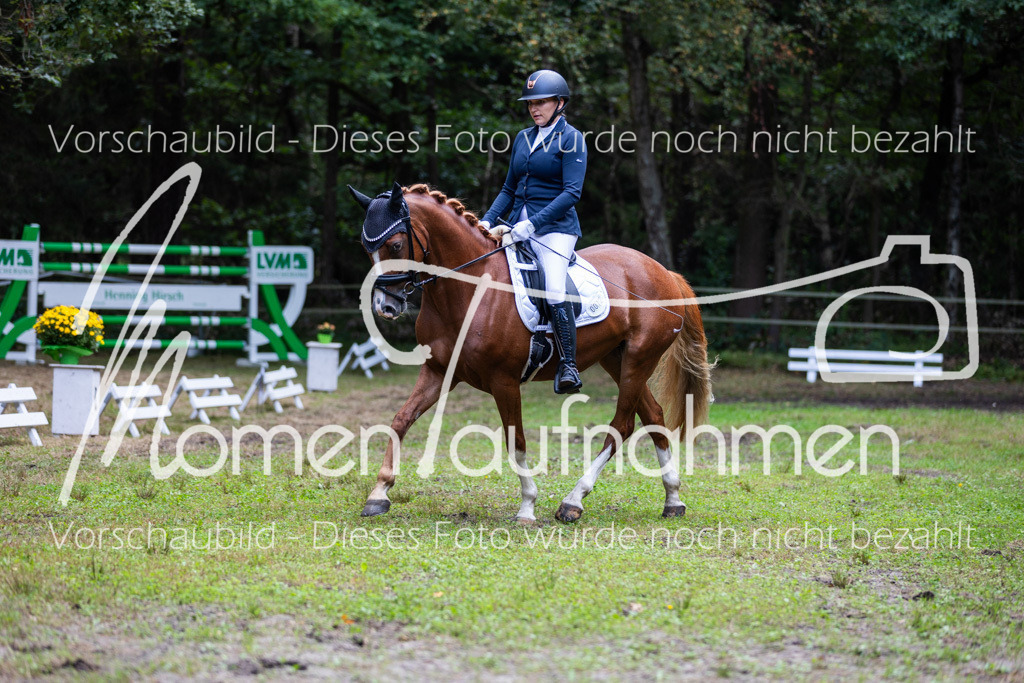 HB-A-Dressur-148 | MomenTaufnahmen Pferdesportfotos