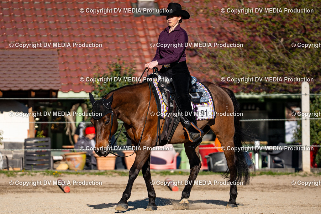 Balingen Tag 1-604 | dv-media-shop - Realisiert mit Pictrs.com