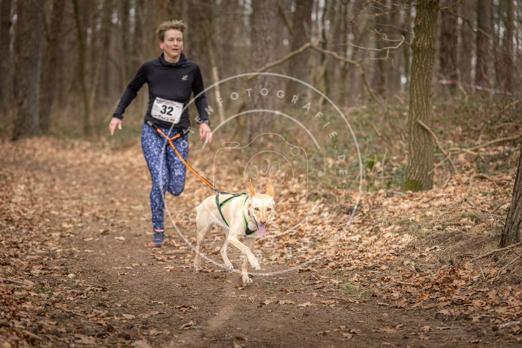 Pfotenfotografie_DV3A9472 | Hundefotografie, Tierfotograf, Pfotenfotografie, Fotoshooting Hund, Hunde Portrait, Hundesport, Hundeportraits, Heideshooting, Hunde, Sportfotograf, Hundefotograf, Turnierhundsport, THS,  - Realisiert mit Pictrs.com