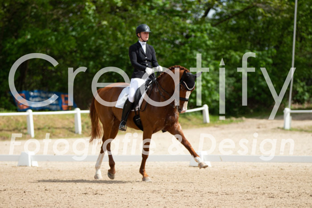 IMG_6406 | Creatify Fotografie