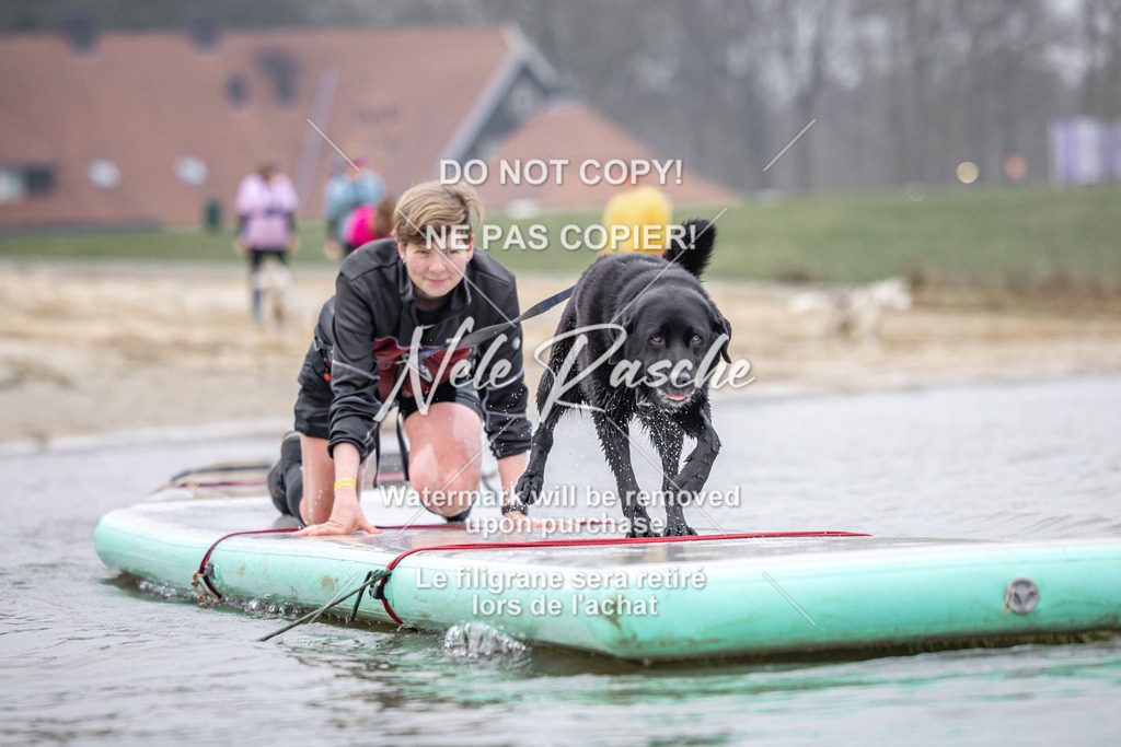 nelerasche_Hulsbeek_Sa1030-1100_168 | nelerasche
