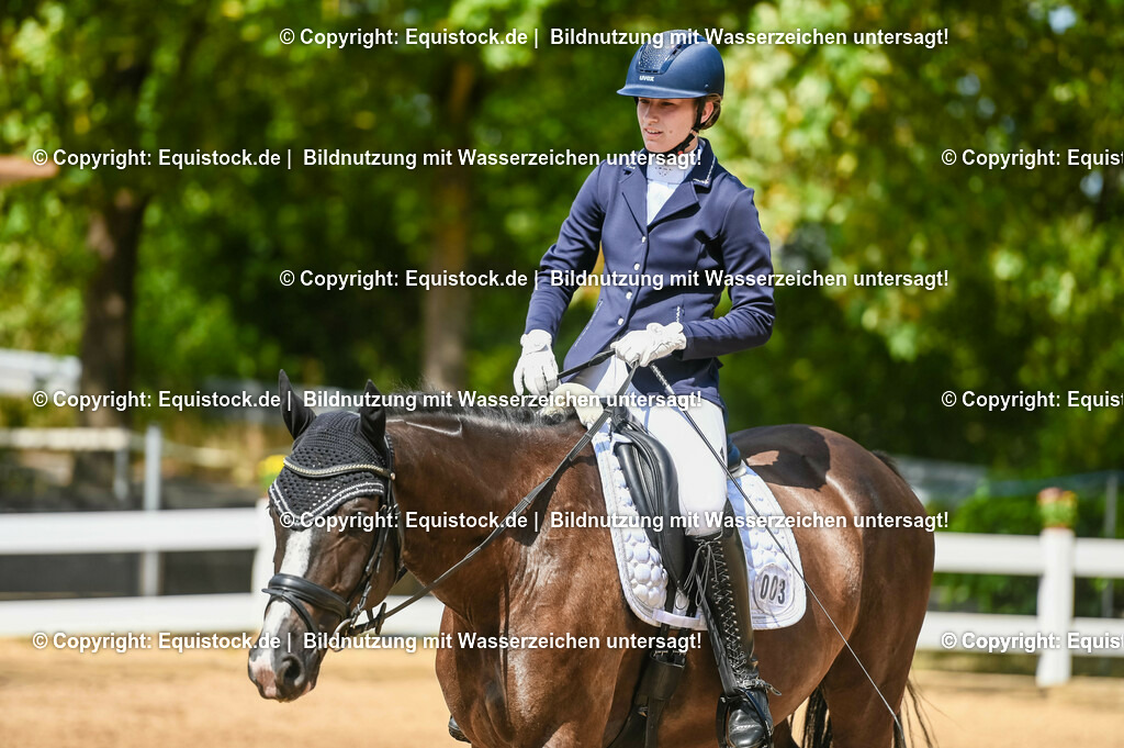 20230715_02_Dressurreiterprüfung Kl.L_0316 | equistock