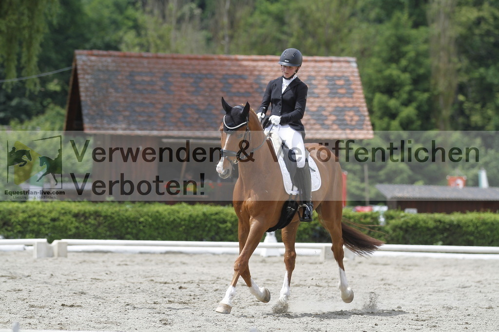 _MG_9209 | equestrian-live-com