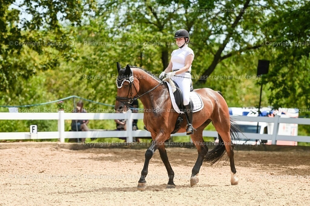 20230715_05_Dressurprüfung Kl.A++_0407 | equistock