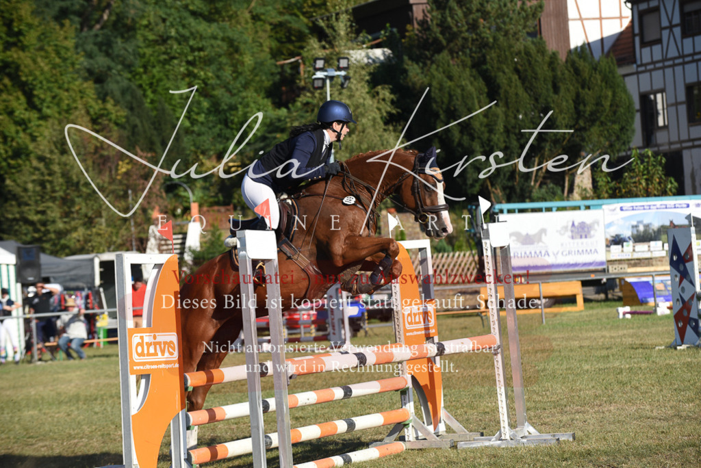 DSC_5158 | Pferde- und Turnierfotografie in Westsachsen. Pferdeportraits, Auftragszeichnungen und intuitive Kunst.