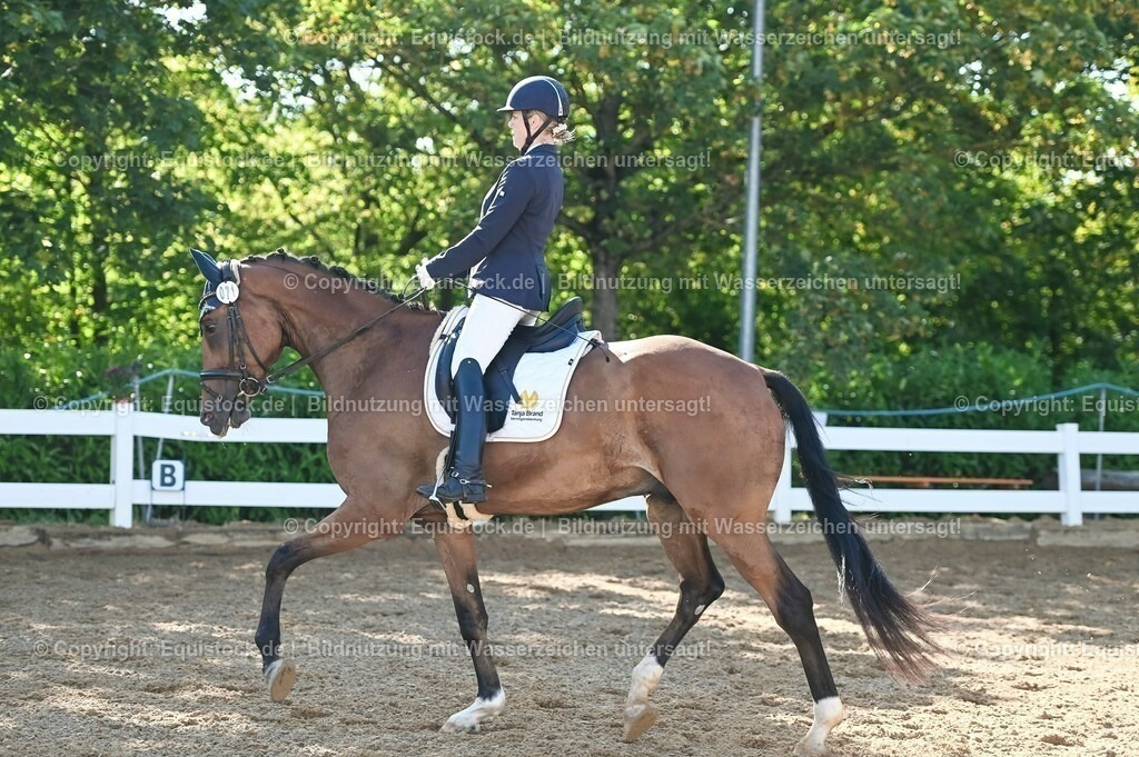 20230715_06_Dressurpferdeprfg. Kl.A_0203 | equistock