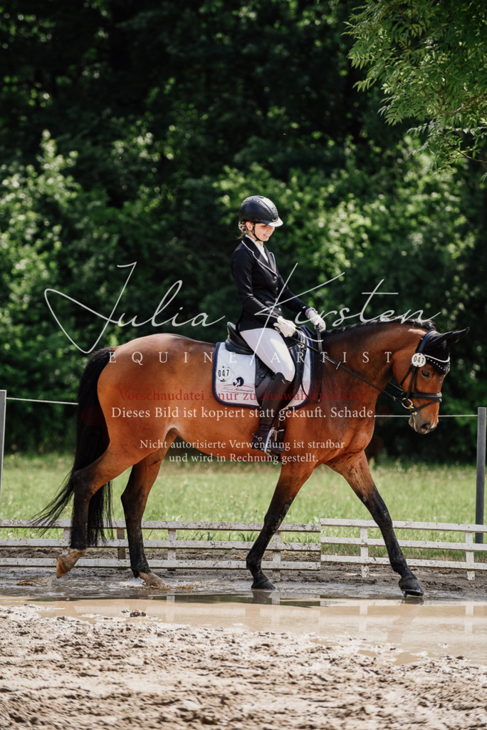 DSC_0880 | Pferde- und Turnierfotografie in Westsachsen. Pferdeportraits, Auftragszeichnungen und intuitive Kunst.