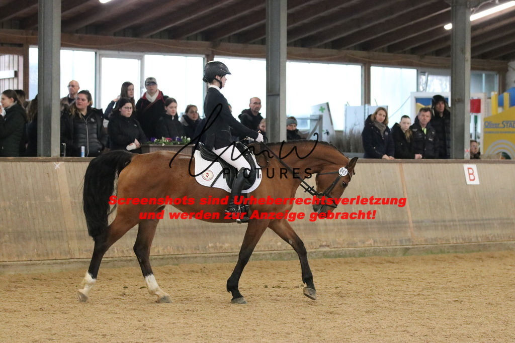 IMG_4333 | lmwpictures - Realisiert mit Pictrs.com