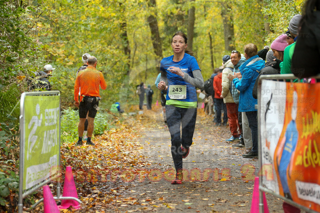 251026_1233_EX1_0632 | Sportfotografie im Rhein-Sieg Kreis, Köln, Bonn, NRW, Rheinland Pfalz, Hessen, etc. Unser Tätigkeitsfeld umfasst den Laufsport vom Volkslauf über den Marathon, Duathlon, Triathon bis zum Ultralauf wie Kölnpfad Ultra oder Schindertrail.