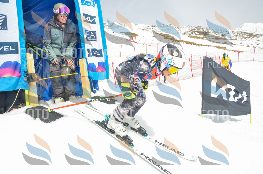 _ELE8135 | holidayphoto