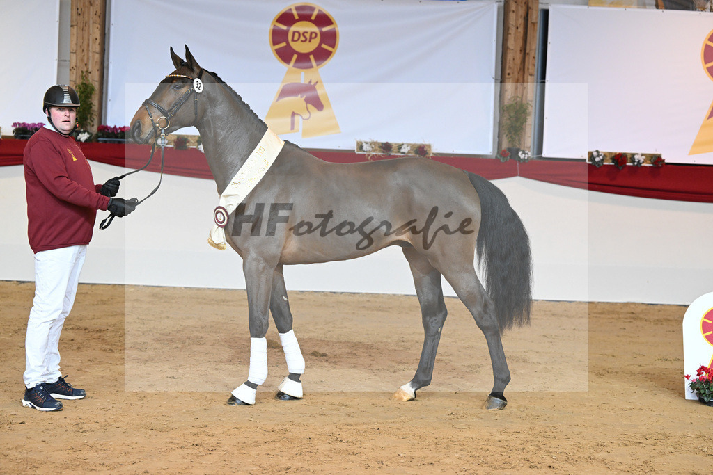 Kat-Nr. 32 Tangelo v d Zuuthoeve_Schlamminger GmbH_1231848 | hf-fotografie - Realizzato con Pictrs.com