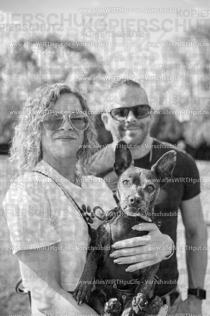 Hundeschwimmen_Volksbad_2026-allesWIRTHgut_Tierfotografie-2609061528-7R501563 | Professionelle Tierfotografie in Mönchengladbach von Daniel Wirth (allesWIRTHgut). Liebevolle & natürliche Bilder von Hunden & Katzen für unvergessliche Erinnerungen.