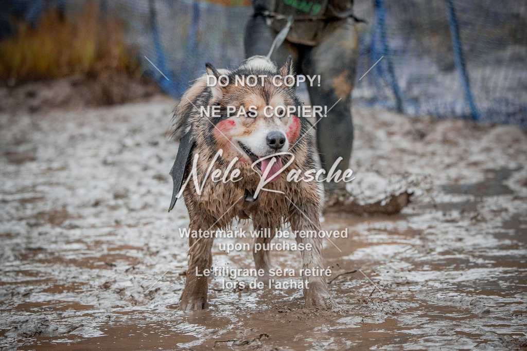nelerasche_Creepy2025_Sa1400-Ende_456 | nelerasche