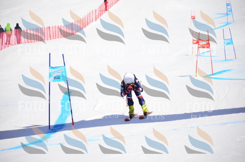 VR4_9489 | holidayphoto