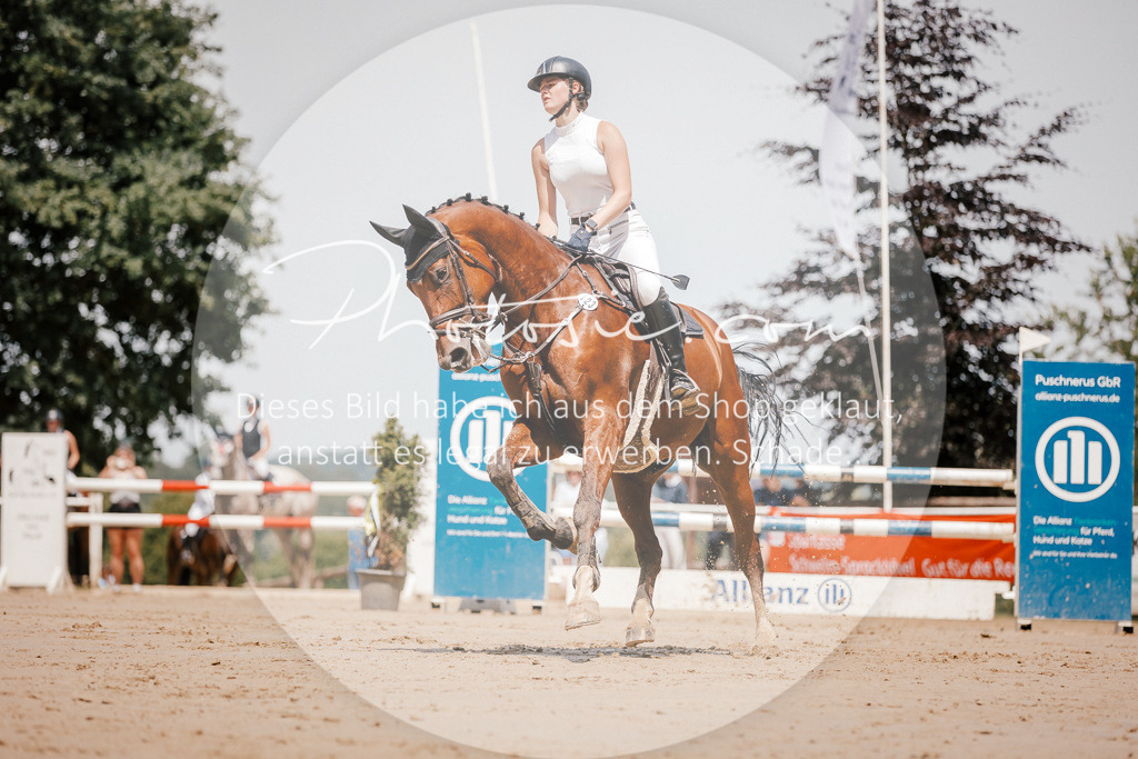 3I6A7829 | Stimmungsvolle Portraits und Reitsportfotografie im Ruhrgebiet und im Münsterland.

Pferdefotografie, Hundefotografie, Tierfotografie, Reportagen, Portraits von Tier und Mensch, Turnierfotografie in Bochum, Recklinghausen, Marl, Haltern am See, Dülmen.. - Realisiert mit Pictrs.com