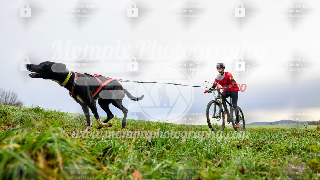 MompixPhotography_Staufertrail2024_SO_Bike-14 | PayLife