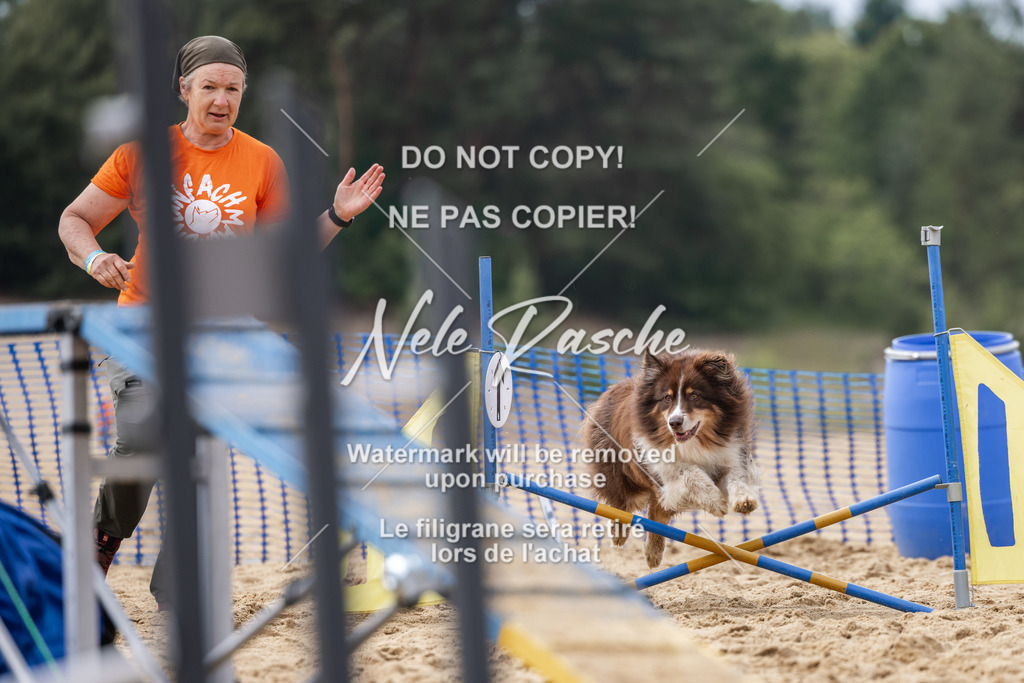nelerasche_BuHu2026_So1530-Ende_113 | nelerasche