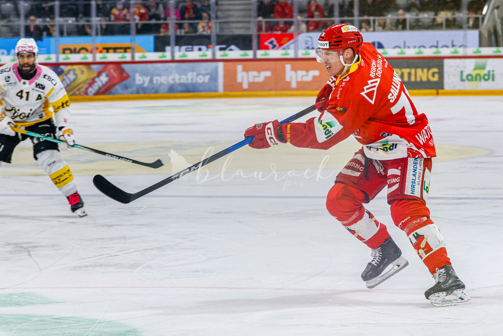 EHCB vs HCA 20260127_wb-9290 | Sportbilder, Sportfotograf, Hochzeits- und Eventfotografin, Flugshows, Portraits und Tiershooting, Aviation, Downhill, Nationalleague, Swissleague, International