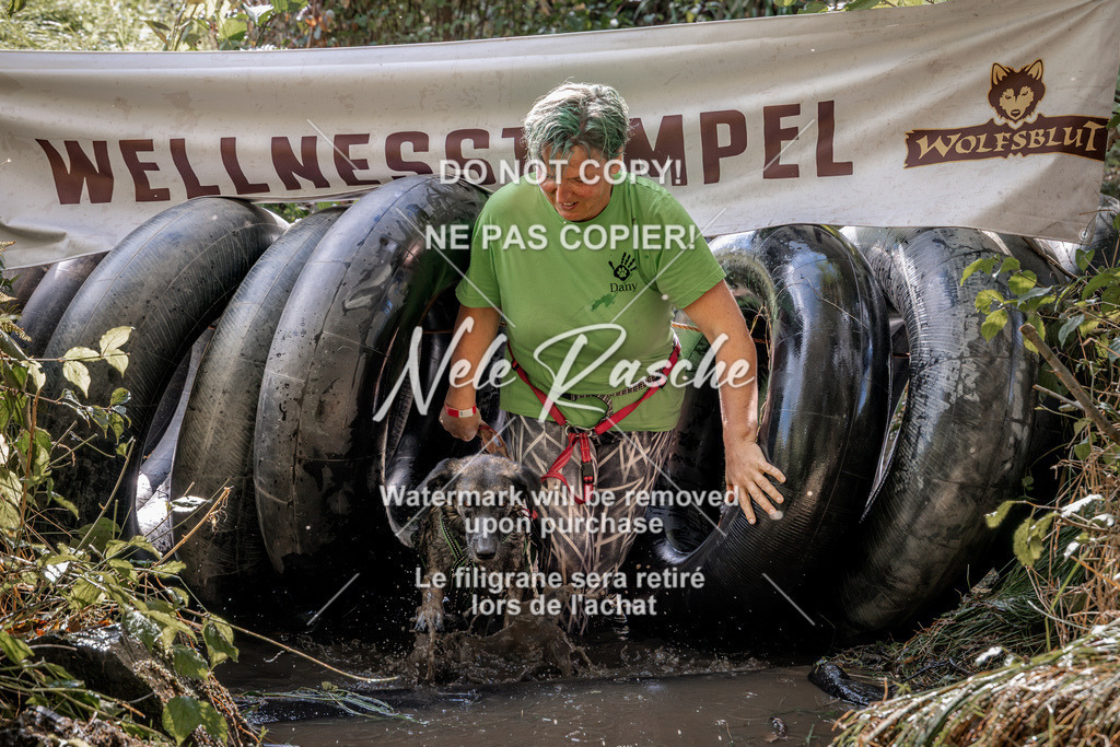 nelerasche_Hunsrück2026_Sa1400-1500_38 | nelerasche