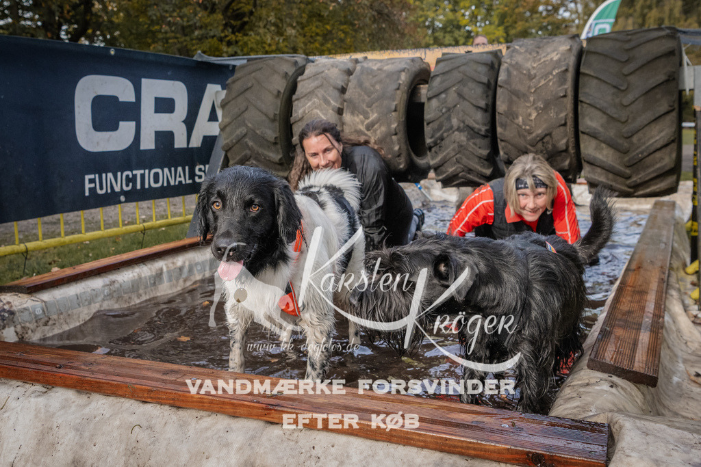 1426_ZZ94549 | kk-dogfotos