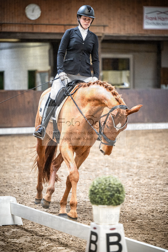 DOS_0197 | Entdecke hochwertige Reitturnierfotos von Foto Oger. Professionell, emotional und authentisch – jetzt Lieblingsmomente im Shop bestellen.Deutschlandweite Turnierfotografie. - Realisiert mit Pictrs.com