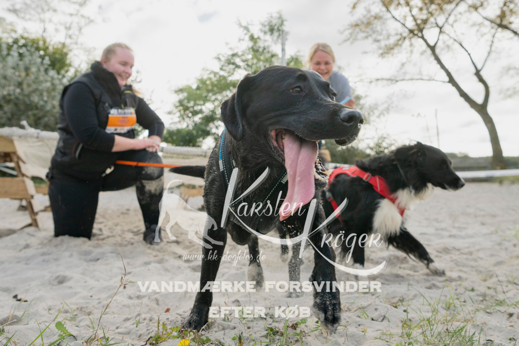 1325_ZZ96780 | kk-dogfotos