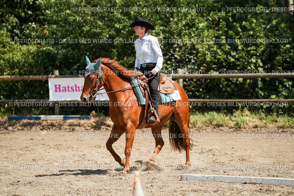 DSC07368 | Pferdegrafie