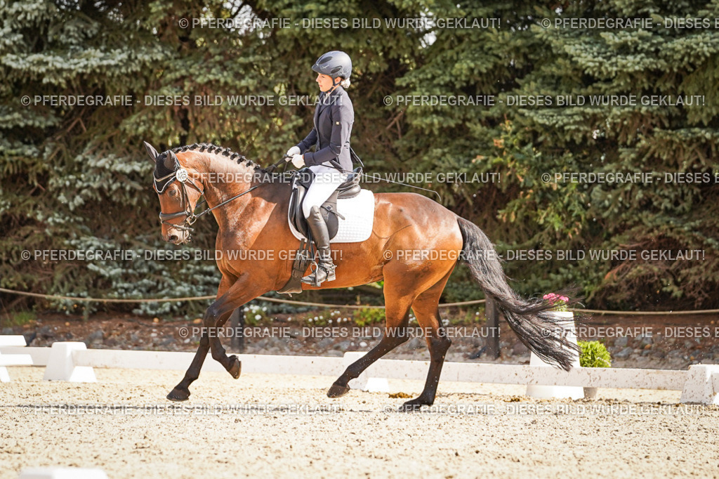 DSC00900 | Pferdegrafie