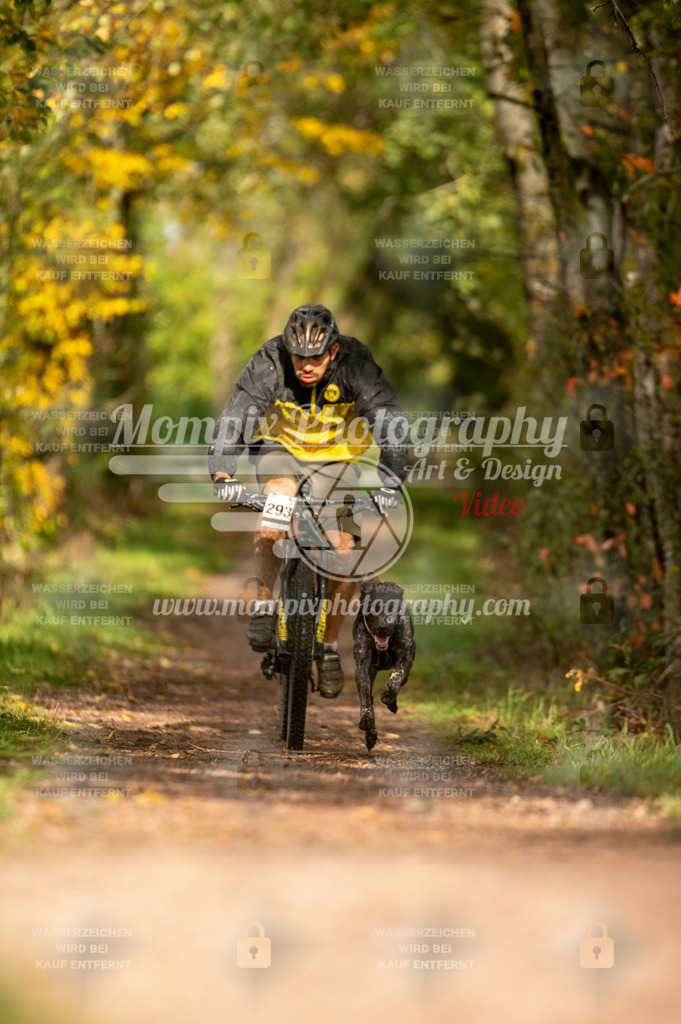TSB_2023_E4_Bike-56 | PayLife