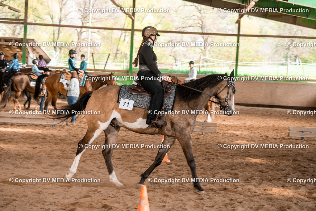 BAL02289 | dv-media-shop - Realisiert mit Pictrs.com