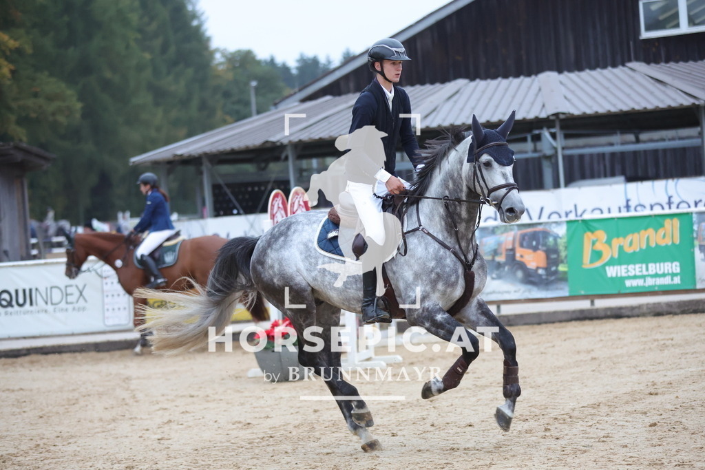 0P6A5431 | Willkommen bei Brunnmayr - Design & Fotografie – Ihrem Spezialisten für Reitturniere und Pferdeveranstaltungen in Oberösterreich, Salzburg und Bayern! Seit über 17 Jahren sind wir leidenschaftlich dabei.