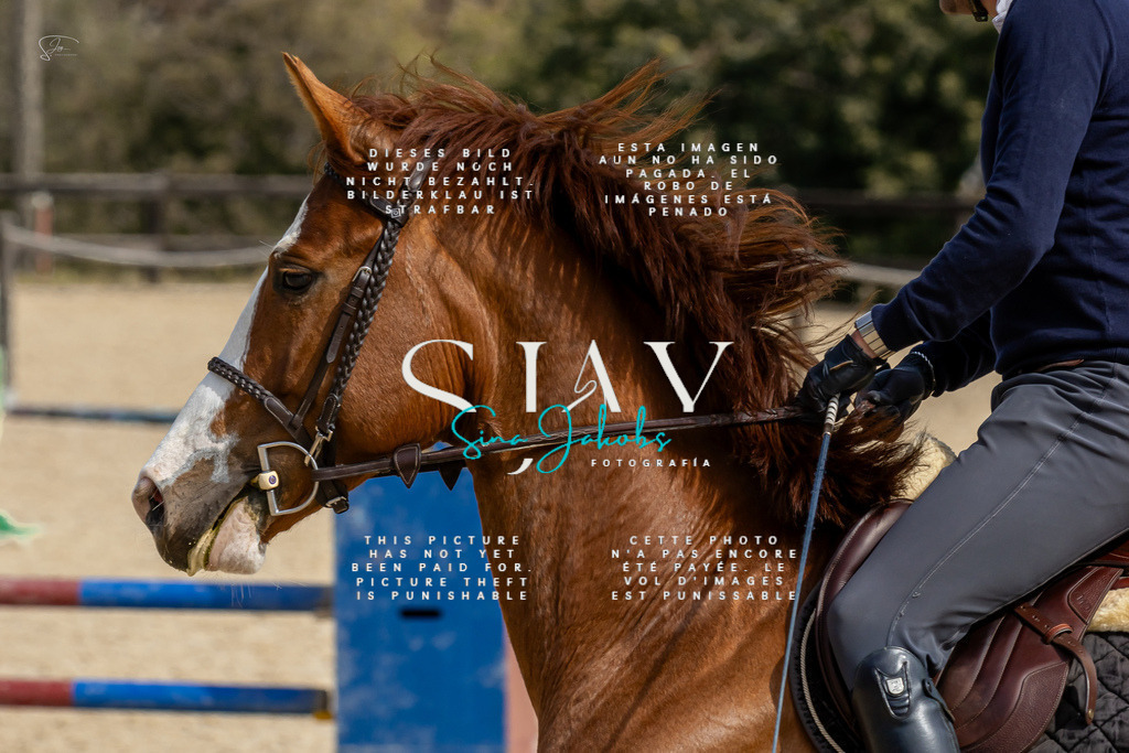 IMG_3243 | s-jay-photography - Realisiert mit Pictrs.com