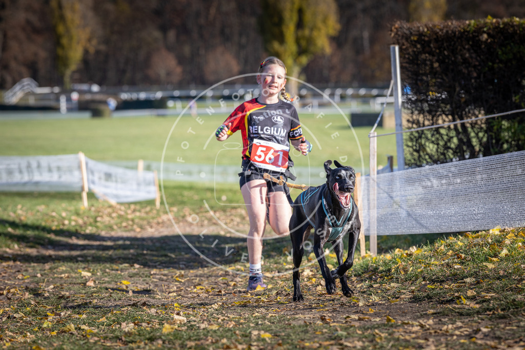 CaniXpix_DV3A8697 | Hundefotografie, Tierfotograf, Pfotenfotografie, Fotoshooting Hund, Hunde Portrait, Hundesport, Hundeportraits, Heideshooting, Hunde, Sportfotograf, Hundefotograf, Turnierhundsport, THS,  - Realisiert mit Pictrs.com