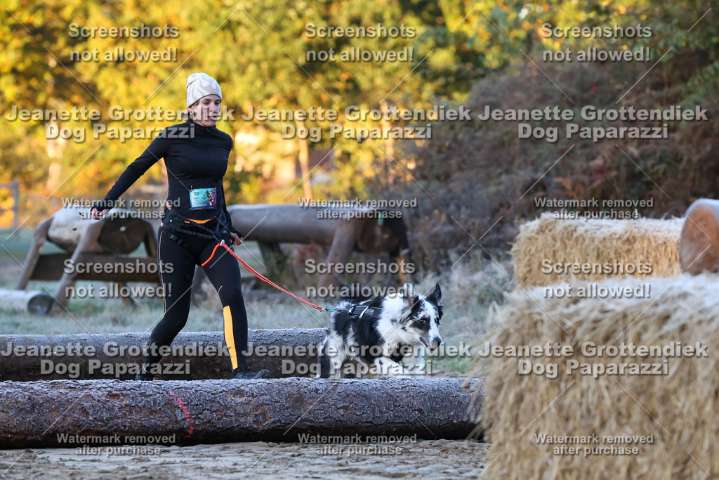 Dog Paparazzi - Strongdog 10-25-273 | Dog Paparazzi Jeanette Grottendiek Fotografie & Videografie - Realisiert mit Pictrs.com