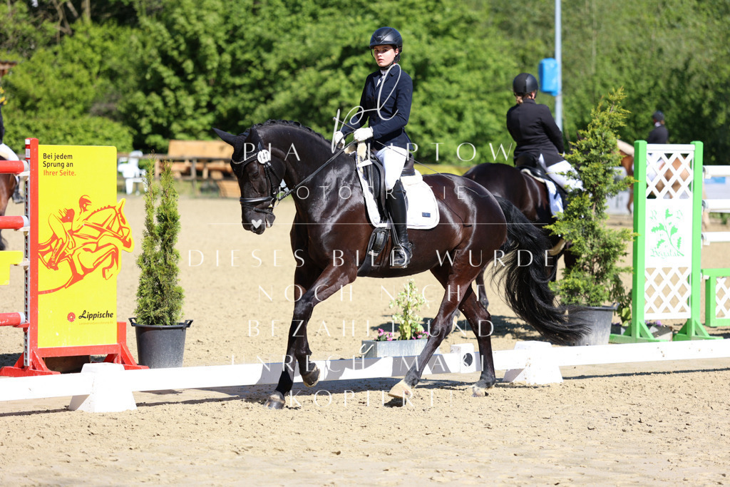 IMGT0422 | pl-fotografie