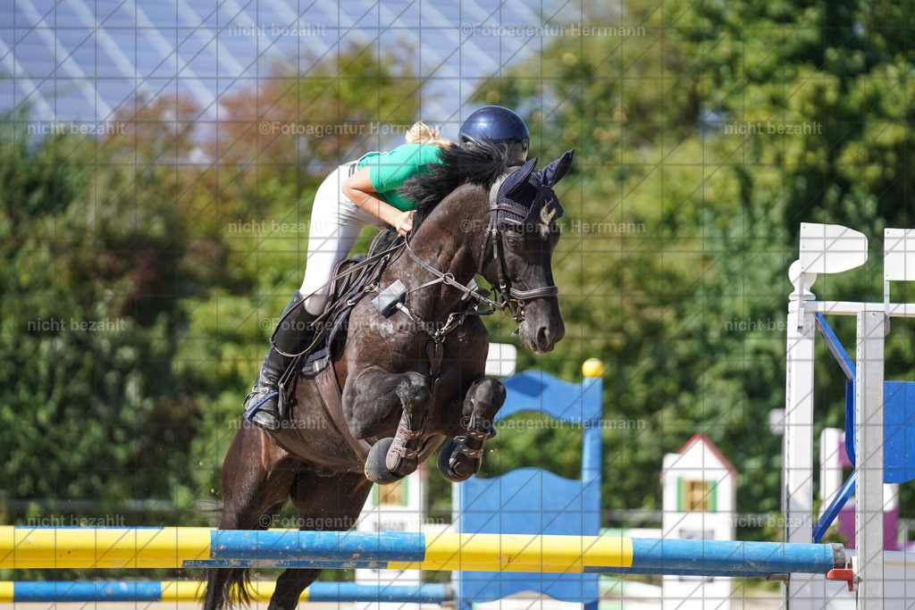 20240824-FAH08432 | Thierhaupten 2024, Bayerisches Landesponyturnier, Turnierbilder, Ponybilder, Turnierfotografen Bayern, Fotoagentur Herrmann