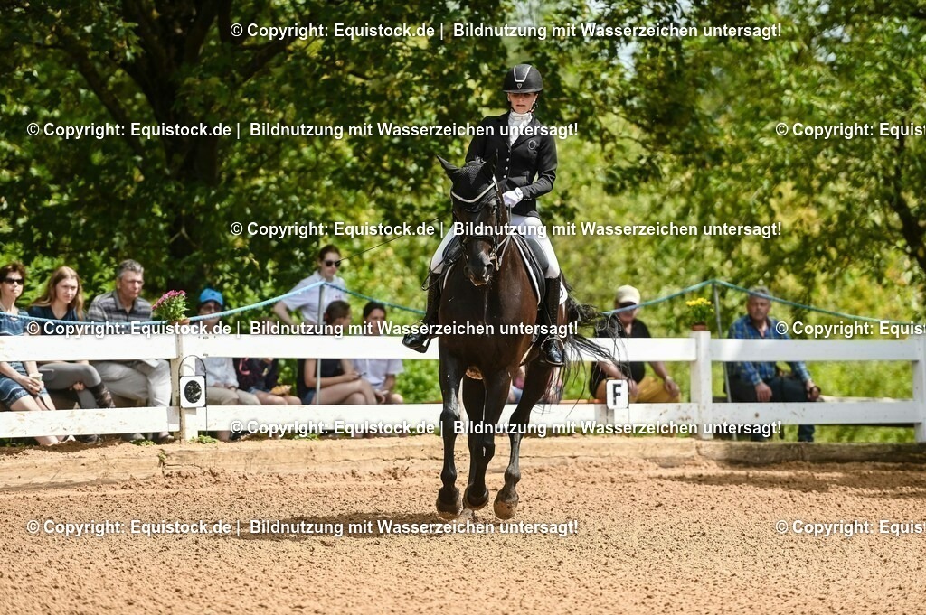 20230716_01_Dressurprüfung Kl.M_0022 | equistock