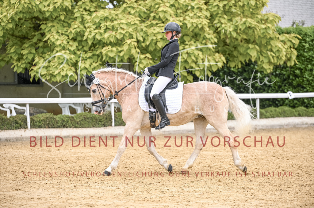 Schugtsche-Aluta25-41.Amat-Dressurprf.A_-552 | Schugtsche Fotografie - Realisiert mit Pictrs.com