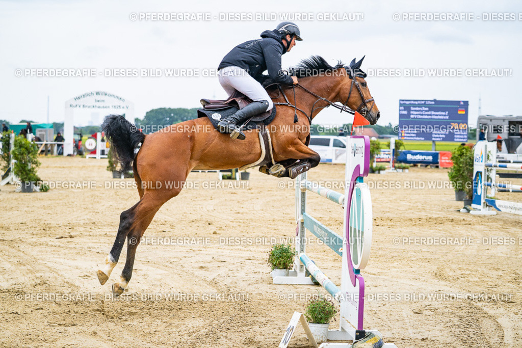 DSC09344 | Pferdegrafie